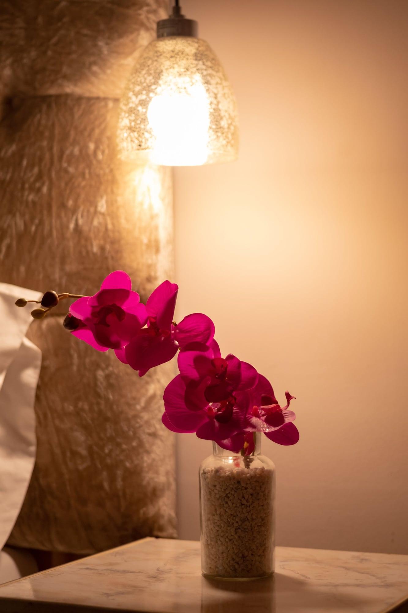Aposentos De San Pedro Hotell Cartagena Exteriör bild