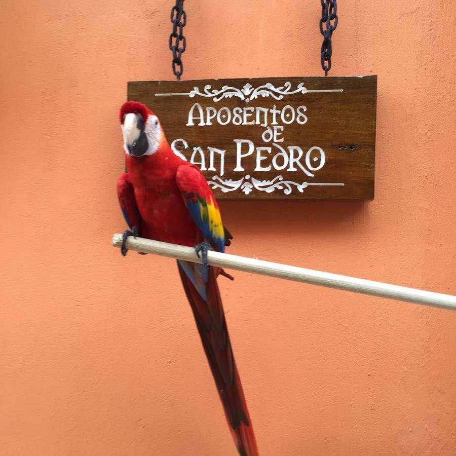 Aposentos De San Pedro Hotell Cartagena Exteriör bild